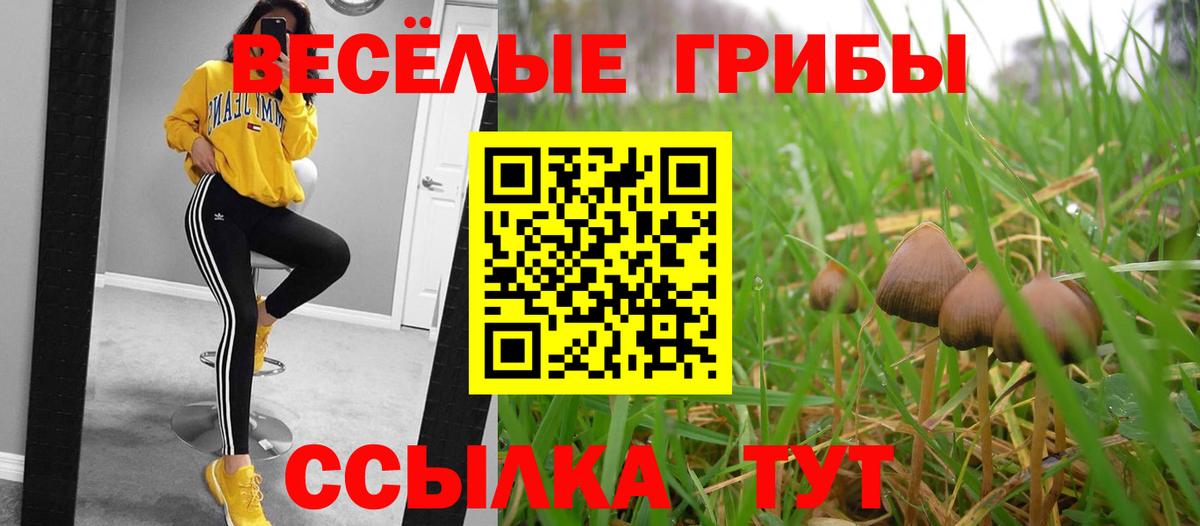 Псилоцибиновые грибы Magic Shrooms  Галлюциногенные грибы Psilocybine cubensis  Чернушка  Вход с VPN 